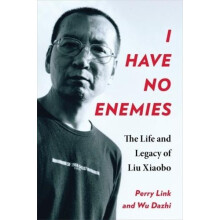 I Have No Enemies by Dazhi Wu Paperback Book