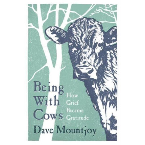 Being With Cows by Dave Mountjoy Hardcover Book