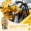 14Pcs Hydraulic Pressure Test Point Testing Coupling Adapter Set for Hydraulic System Kit 5