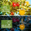 2-Pack Solar Wespenval Buiten Hangend, Upgrade LED-Licht Bijenvallen Vanger, Wespen Insectendoder 6