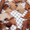 Pond net 3 m x 4 m Black Fishpond net Leaf netting Netting Bird protection netting sturdy 2
