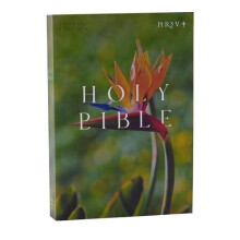 NRSV Catholic Edition Bible Bird of Paradise Paperback Global Cover Se