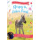 Stripy the Zebra Foal by Pippa Funnell Paperback Book 1