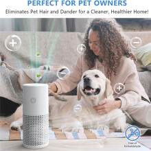 Portable Air Purifier,HEPA Air Purifier for Home,for Home Bedroom Office Car with Silence and Homemade Aromatherapy