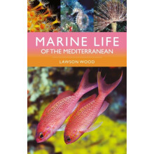 Marine Life of the Mediterranean by Lawson Wood Paperback Book