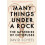Many Things Under a Rock by David Scheel Hardcover Book 1