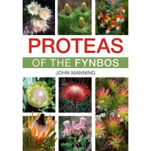 Proteas of the Fynbos by John Manning Paperback Book