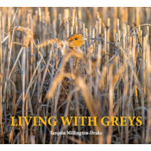 Living with Greys by Tarquin MillingtonDrake Hardcover Book