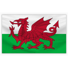 Wales Flag 5ft X 3ft Supporters Welsh Flag Patriotic Decorations