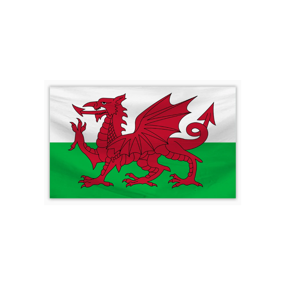 Bfcnmrown Wales Flag 5Ft X 3Ft Supporters Welsh Flag Patriotic Decorations