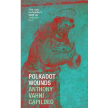 Polkadot Wounds by Anthony Vahni Capildeo Paperback Book