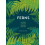 Ferns by Mobee Weinstein Paperback Book 1