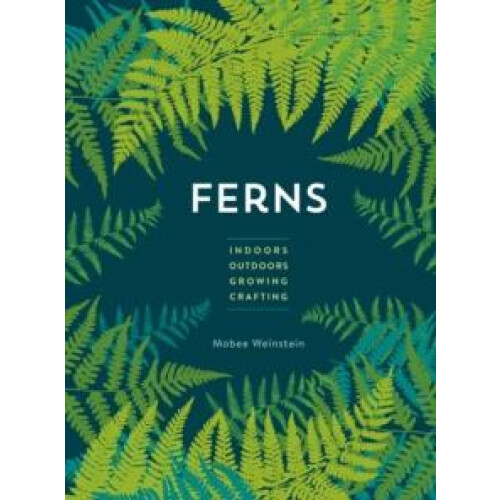 Ferns by Mobee Weinstein Paperback Book