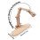 Embroidery Hoop Holder Desktop Adjustable Rotatable Embroidery Stand Frame for Sewing DIY Art  Needlework Stitching 7