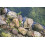 Pond net 20 m x 16 m Leaf netting Netting Leaf protection net sturdy 6