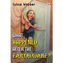 What Happened After the Earthquake by Sylvia Webber Paperback Book