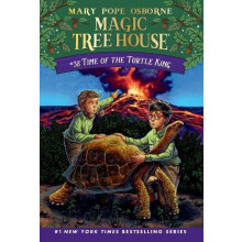 Time of the Turtle King by AG Ford Paperback Book