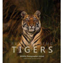 Remembering Tigers Hardcover Book