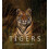 Remembering Tigers Hardcover Book 1