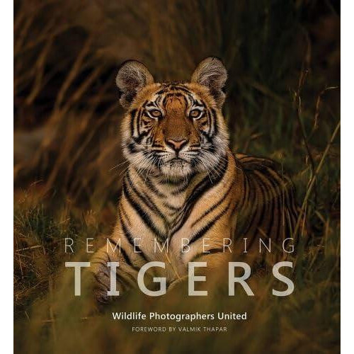 Remembering Tigers Hardcover Book