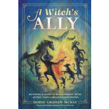 A Witchs Ally by Dodie Graham McKay Paperback Book