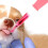 1Ensemble Distributeur Médicaments Animaux ABS Rose Sûr 7