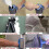 6pc/Set Multifunctional Paint Roller Corner Brush Handle Tools Wall Painting Roll DIY Household Operate Painting Brushes 6