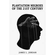 Plantation Negroes of the 21st Century by James L Jordan Paperback Boo