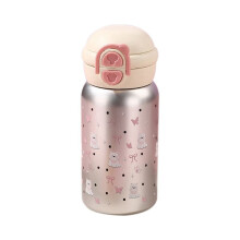 Cute Stainless Steel Water Bottle with Straw 500ML Kawaii Water Bottle for Hot or Cold Drinks Adorable Travel Mug Silver