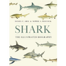 Shark by Sophie A. Maycock Hardcover Book