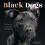 Black Dogs by Fred Levy Hardcover Book 1