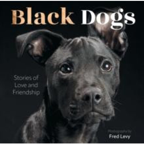 Black Dogs by Fred Levy Hardcover Book
