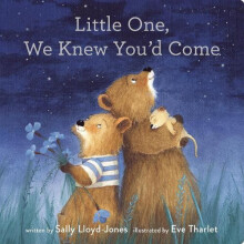 Little One We Knew Youd Come by Sally LloydJones Other Book