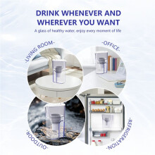 Bouilloire Filtrante Portable 1 L pour Usage Domestique, Système de Filtration au Charbon Actif, Carafe Purificatrice D'Eau Potable pour la Cuisine