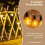 Hooks for Outdoor String Lights Clips 15 Pack Clips Clear Light Hook with 15 Waterproof Adhesive Backing 7