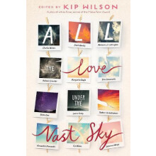 All the Love Under the Vast Sky by Padma Venkatraman Hardcover Book