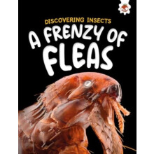 Discovering Insects A Frenzy of Fleas by Rebecca Storm Paperback Book