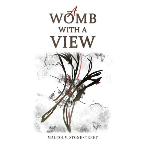 A Womb With a View by Malcolm Stonestreet Paperback Book