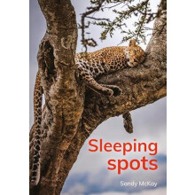 Sleeping spots by Sandy McKay Paperback Book
