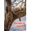 Sleeping spots by Sandy McKay Paperback Book 1