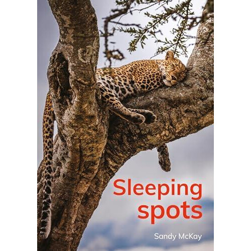 Sleeping spots by Sandy McKay Paperback Book