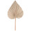 Folhas de Palmeira Secas para DecoraçãO de Quarto 5 PeçAs - 18 Polegadas H X 10 Polegadas W  DecoraçãO Natural em Folha de Palmeira para um 5