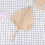 Folhas de Palmeira Secas para DecoraçãO de Quarto 5 PeçAs - 18 Polegadas H X 10 Polegadas W  DecoraçãO Natural em Folha de Palmeira para um 2