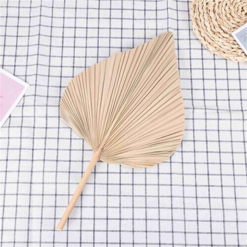 Folhas de Palmeira Secas para DecoraçãO de Quarto 5 PeçAs - 18 Polegadas H X 10 Polegadas W  DecoraçãO Natural em Folha de Palmeira para um 1