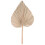 Folhas de Palmeira Secas para DecoraçãO de Quarto 5 PeçAs - 18 Polegadas H X 10 Polegadas W  DecoraçãO Natural em Folha de Palmeira para um 3