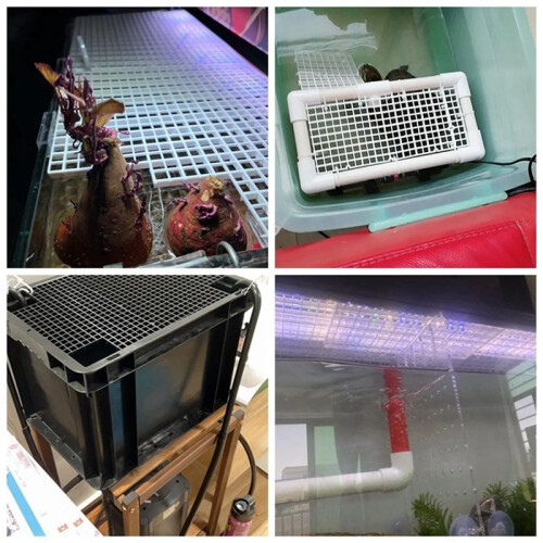 10 Pcs Aquarium Fish Tank Isolation Plate Divider Filter Patition Board Net Plastic Separation Divider Board