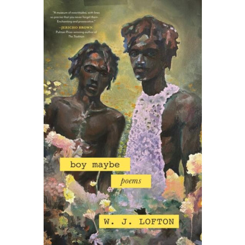 boy maybe by W.J. Lofton Paperback Book