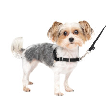 PetSafe Easy Walk No-Pull Dog Harness - The Ultimate Harness to Help Stop Pulling - Take Control & Teach Better Leash Manners - Helps Prevent Pets Pul