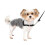 PetSafe PetSafe Easy Walk No-Pull Dog Harness - The Ultimate Harness to Help Stop Pulling - Take Control & Teach Better Leash Manners - Helps Prevent Pets Pul 1