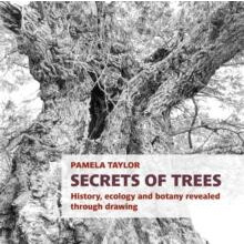 Secrets of Trees by Pamela Taylor Paperback Book